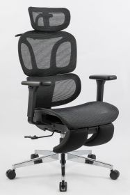 Ergonomic Office Chair with Foot Rest, High Back Computer Office Chair with Dynamic Lumbar Support, 2D Headrest, 4D Armrest, Sponge Seat